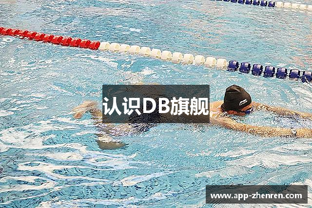 认识DB旗舰